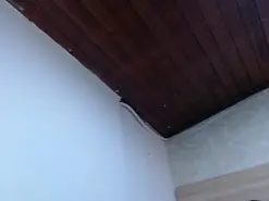 Amateur Nude Webcam of salomeyfelipe