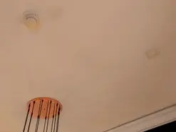 Amateur Adult Webcam of GiannaWatson