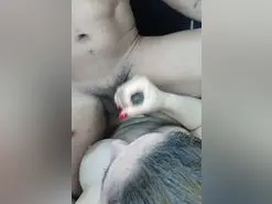 Amateur Free Live Porn of vanedancex