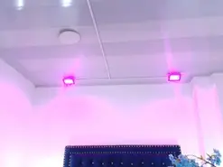 Amateur Free Live Porn of Leia_laurent