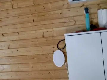 Bongacams Best Webcam of wild41