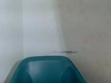 Bongacams Nude Webcam of Sugarxpussy