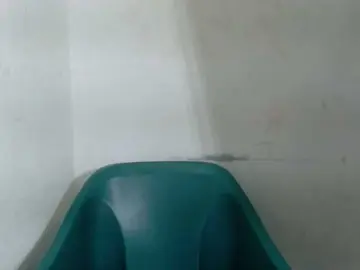 Bongacams Best live sex cam show of Sugarxpussy