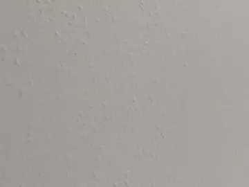 Bongacams Sex Cam of Pussybloom