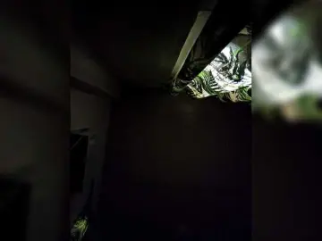 Bongacams Sex Cam of candicelovee