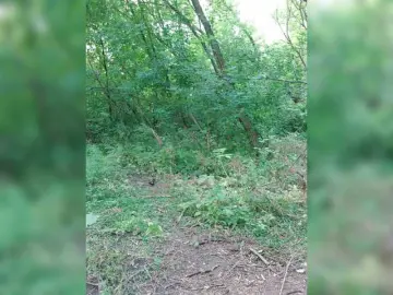 Bongacams Sex Cam of Lubovniki