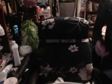 Bongacams Sex Cam of pussyxpaladin