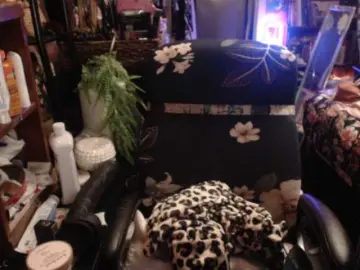 Bongacams Nude Webcam of pussyxpaladin