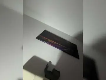 Bongacams Best Webcam of ReveMignoneX