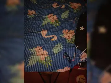 Bongacams Nude Webcam of Pingwin89