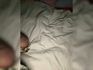 Bongacams Sex Chat of SweetCoople