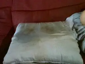 Cam4 Free Porn Cam of BuenGarrote