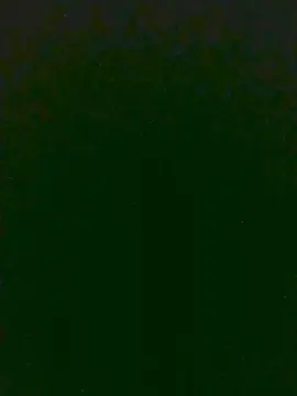 Cam4 Private Sex Chat of Raizeen