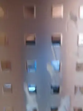 Cam4 Live Porn of 88human