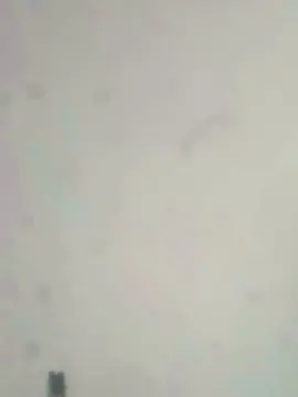 Cam4 Live Sex of Nummag767