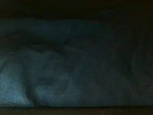 Cam4 Best live sex cam show of Zonanorte777