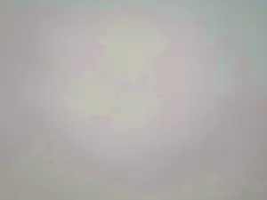 Cam4 Adult Video Chat of gogogondolo