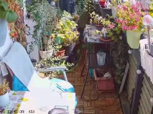 Cam4 Live Porn of sweetnude83