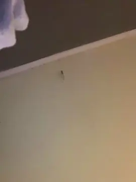 Cam4 Live Sex Cam of eymi4