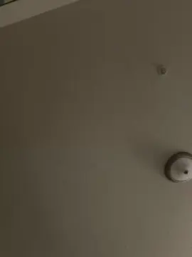 Cam4 Adult Webcams of bubblegumpussy2