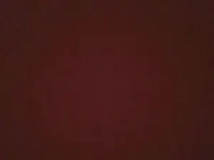 Cam4 Best Webcam of soltersex