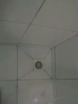 Cam4 Free Porn Cam of Novin_dotado
