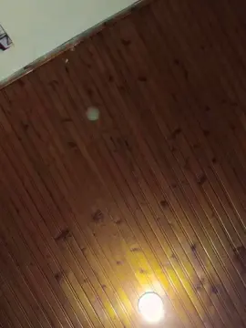 Cam4 Free Porn Cam of Sebasxx97