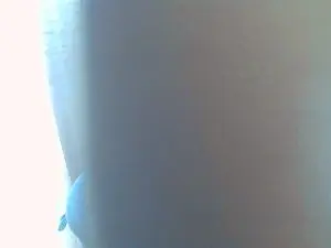 Cam4 Best live sex cam show of sexy_0_