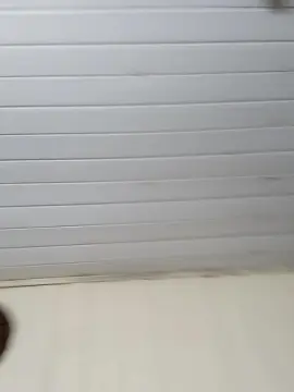 Cam4 Watch Live Sex Cams of JoohEhrat