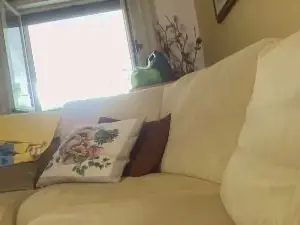 Cam4 Live Sex Cam of martinabigst