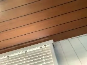Cam4 Sex Cam of jordaniakw