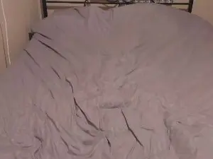Cam4 Free Live Porn of eva_zero