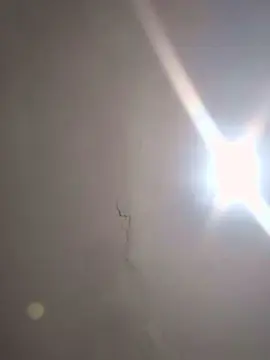 Cam4 Live Porn of FedeZen