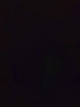 Cam4 Nude Webcam of Carles85