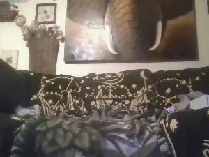 Cam4 Best Webcam of Djmrkim