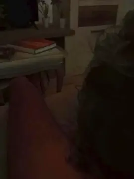 Cam4 Free Live Porn of moreno2359