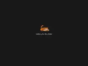 Cam4 Live Sex of forfuntr