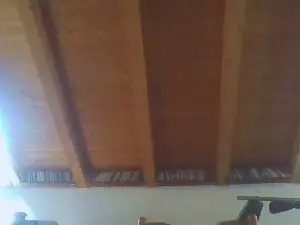 Cam4 Free Porn Cam of shaggyvery