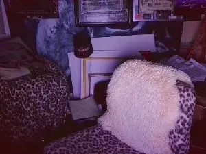 Cam4 Watch Live Sex Cams of blindsurfer