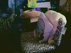 Cam4 Best live sex cam show of blindsurfer