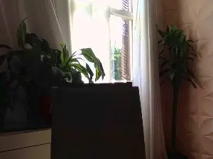 Cam4 Adult Webcams of DanWolfMan