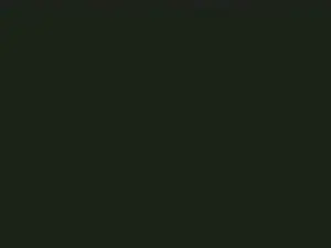 Cam4 Adult Webcam of FSB1962