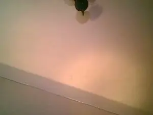 Cam4 Sex Cam of Ximenahotonly