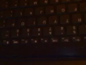 Cam4 Sex Cam of adidas5515