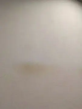 Cam4 Live Sex Cam of tonytuga