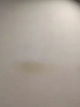 Cam4 Live Porn of tonytuga