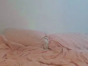 Cam4 Sex Chat of Loladomina78