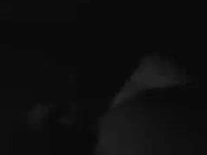 Cam4 Best Webcam of Spencleeee