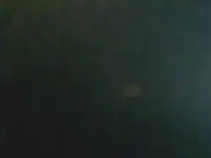 Cam4 Free Porn Cam of LauPet_Nacho