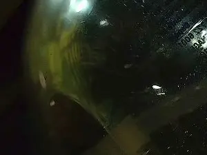 Cam4 Sex Cam of beard_man_sexy